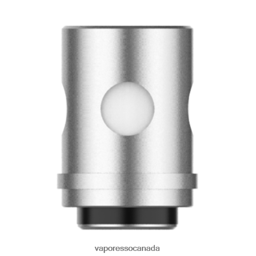 Vaporesso EUC Coils (5Pcs) 6XVXFP365 EUC Clapton 04ohm - Vaporesso Vape Review