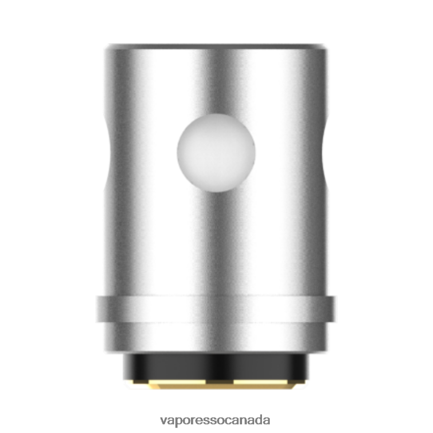 Vaporesso EUC Coils (5Pcs) 6XVXFP368 EUC Clapton 05ohm - Vaporesso Near Me